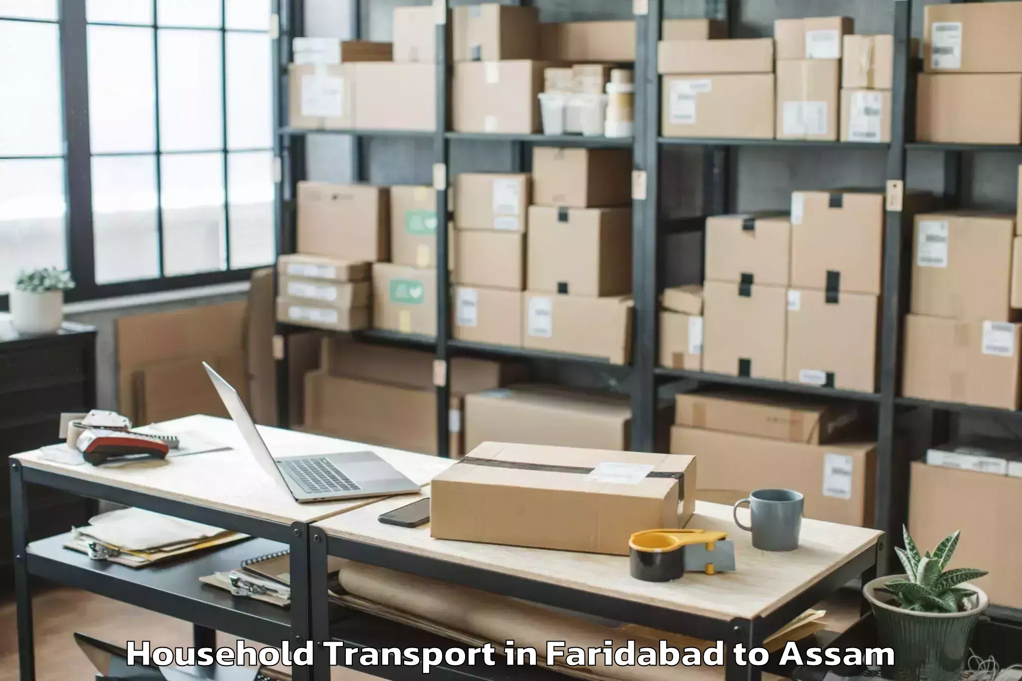 Professional Faridabad to Hajo Household Transport